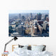 Aerial St Louis Wall Decal