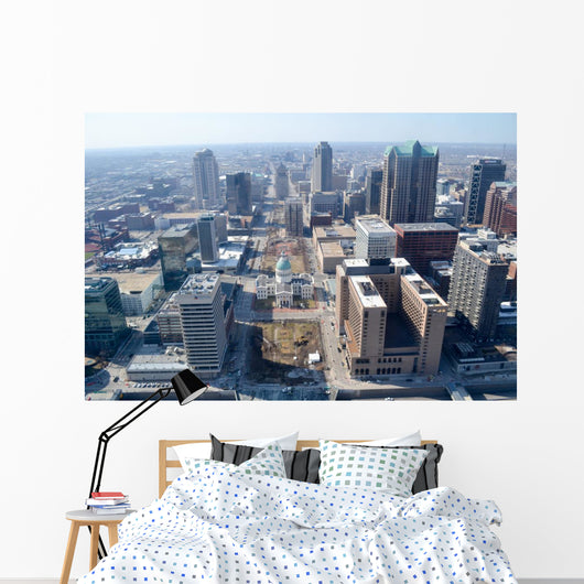 Aerial St Louis Wall Decal