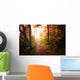 Path through Woods and Wall Decal