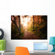 Path through Woods and Wall Decal