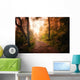 Path through Woods and Wall Decal