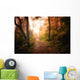 Path through Woods and Wall Decal