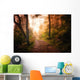 Path through Woods and Wall Decal