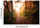 Path through Woods and Wall Decal