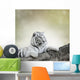 White Tiger Wall Decal Design 5