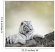 White Tiger Wall Decal Design 5