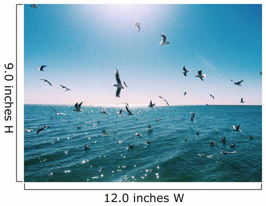 Flying Seagulls Wall Decal