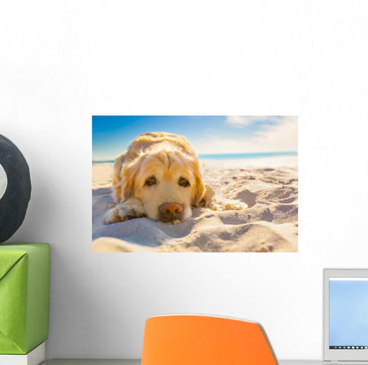 Dog Relaxing Wall Decal