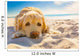 Dog Relaxing Wall Decal