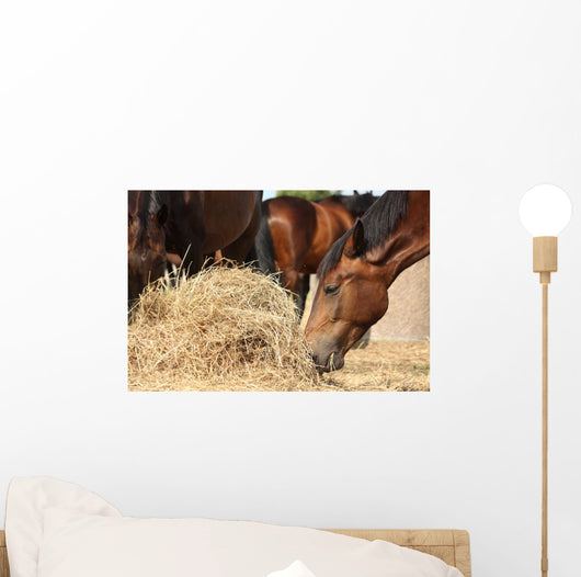 Herd Brown Horses Eating Wall Decal