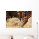 Herd Brown Horses Eating Wall Decal