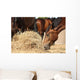Herd Brown Horses Eating Wall Decal