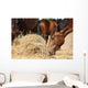 Herd Brown Horses Eating Wall Decal