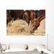 Herd Brown Horses Eating Wall Decal