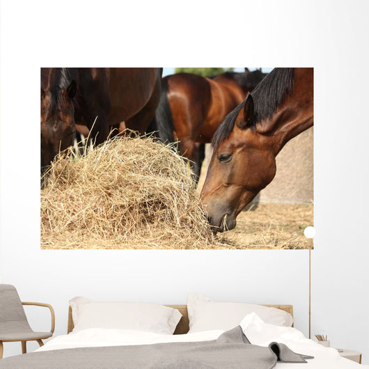 Herd Brown Horses Eating Wall Decal