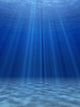 Blue Sea Underwater Wall Decal