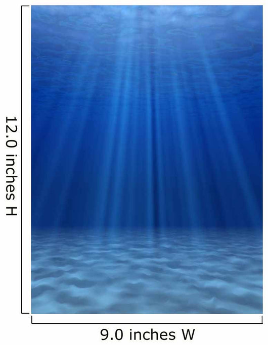 Blue Sea Underwater Wall Decal