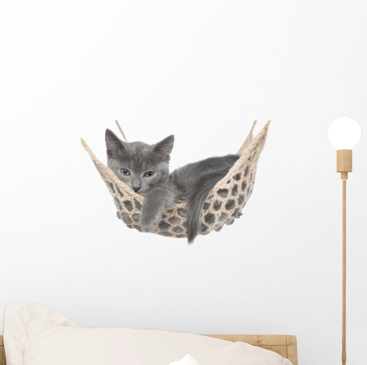 Cute Gray Kitten Lay Wall Decal
