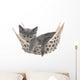 Cute Gray Kitten Lay Wall Decal