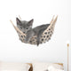 Cute Gray Kitten Lay Wall Decal