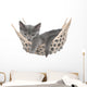 Cute Gray Kitten Lay Wall Decal
