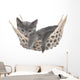 Cute Gray Kitten Lay Wall Decal