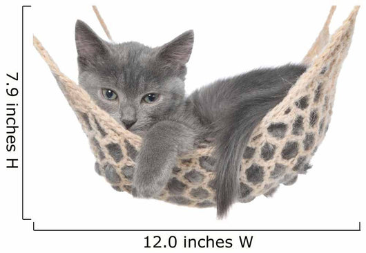 Cute Gray Kitten Lay Wall Decal
