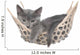 Cute Gray Kitten Lay Wall Decal