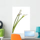 Three Calla Lilies Wall Decal