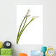 Three Calla Lilies Wall Decal