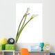 Three Calla Lilies Wall Decal