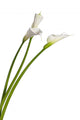 Three Calla Lilies Wall Decal