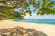 Hawaiian Beach with Sand Wall Decal