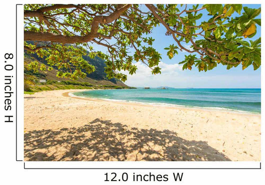 Hawaiian Beach with Sand Wall Decal