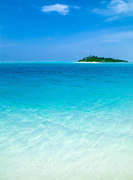 Tropical Desert Island Wall Decal