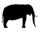 Elephant Silhouette Wall Decal Design 3
