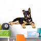 German Shepherd Puppy Licking Wall Decal