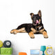 German Shepherd Puppy Licking Wall Decal