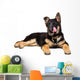 German Shepherd Puppy Licking Wall Decal