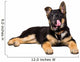German Shepherd Puppy Licking Wall Decal