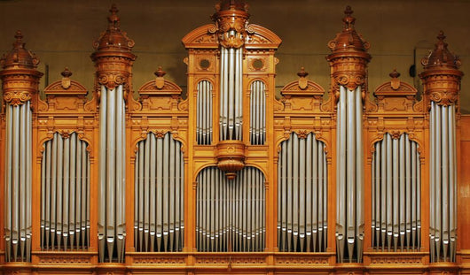 Organ Wall Decal