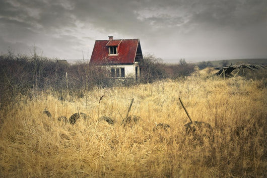 House Grain Field Wall Decal