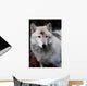 White Wolf Wall Decal
