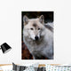 White Wolf Wall Decal