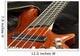 Bass Guitar Wall Decal