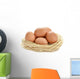 Eggs Nest White Wall Decal