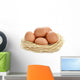 Eggs Nest White Wall Decal