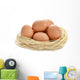 Eggs Nest White Wall Decal