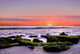 Sunset Beach Wall Decal