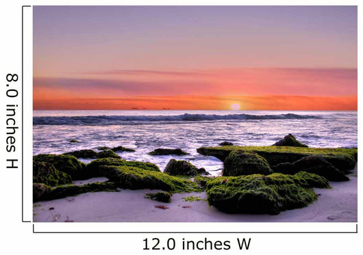 Sunset Beach Wall Decal